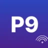 pop 90 turkey