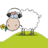 Wandering Sheep Radio – Hope Alive