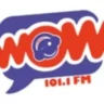 101.1 Wow (Torreón) – 101.1 FM – XHDN-FM – GPS Media – Torreón, Coahuila