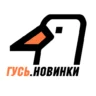 РАДИО ГУСЬ