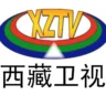 西藏卫视伴音