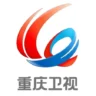 重庆卫视伴音
