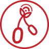 La radio sous la cerise