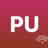 Punk
