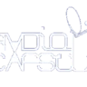 Radio Capsule