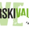 Radio Štajerski val