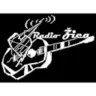 Radio Zica