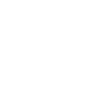 The Voice
