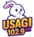Usagi FM 102.9 (Puebla)